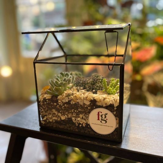 Light Up Greenhouse Terrarium