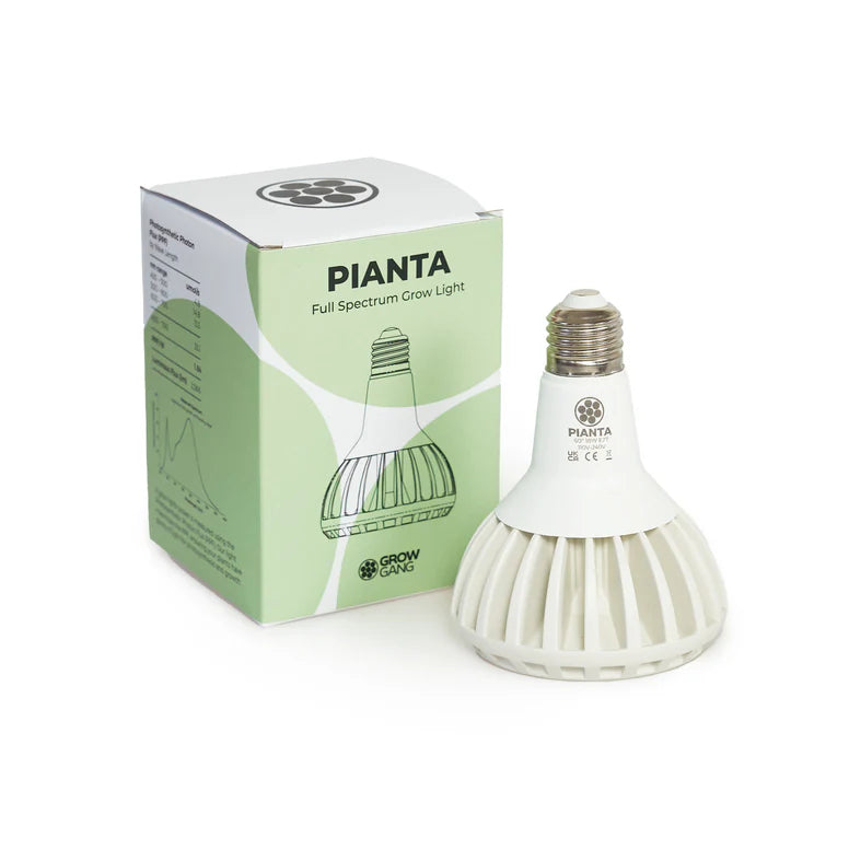 Grow Light Bulb