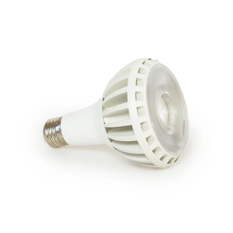 Grow Light Bulb